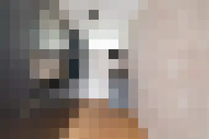 Sir Winston Churchilllaan 839 Rijswijk thumbnail 14