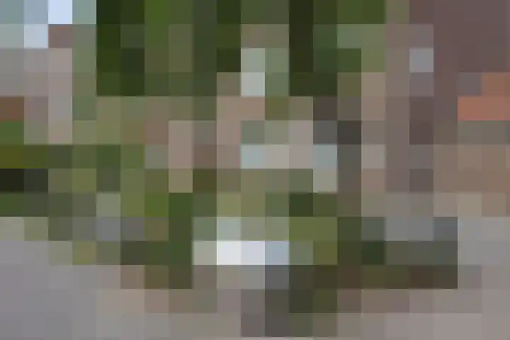 Sir Winston Churchilllaan 84 Rijswijk thumbnail 35