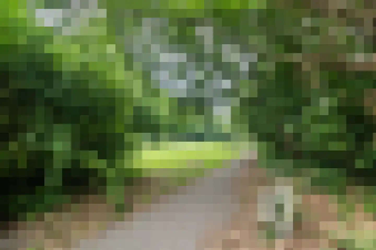 Sir Winston Churchilllaan 987 Rijswijk thumbnail 50