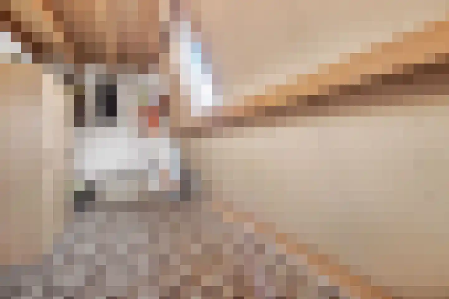 Sir Winston Churchillweg 25 Voorschoten thumbnail 19