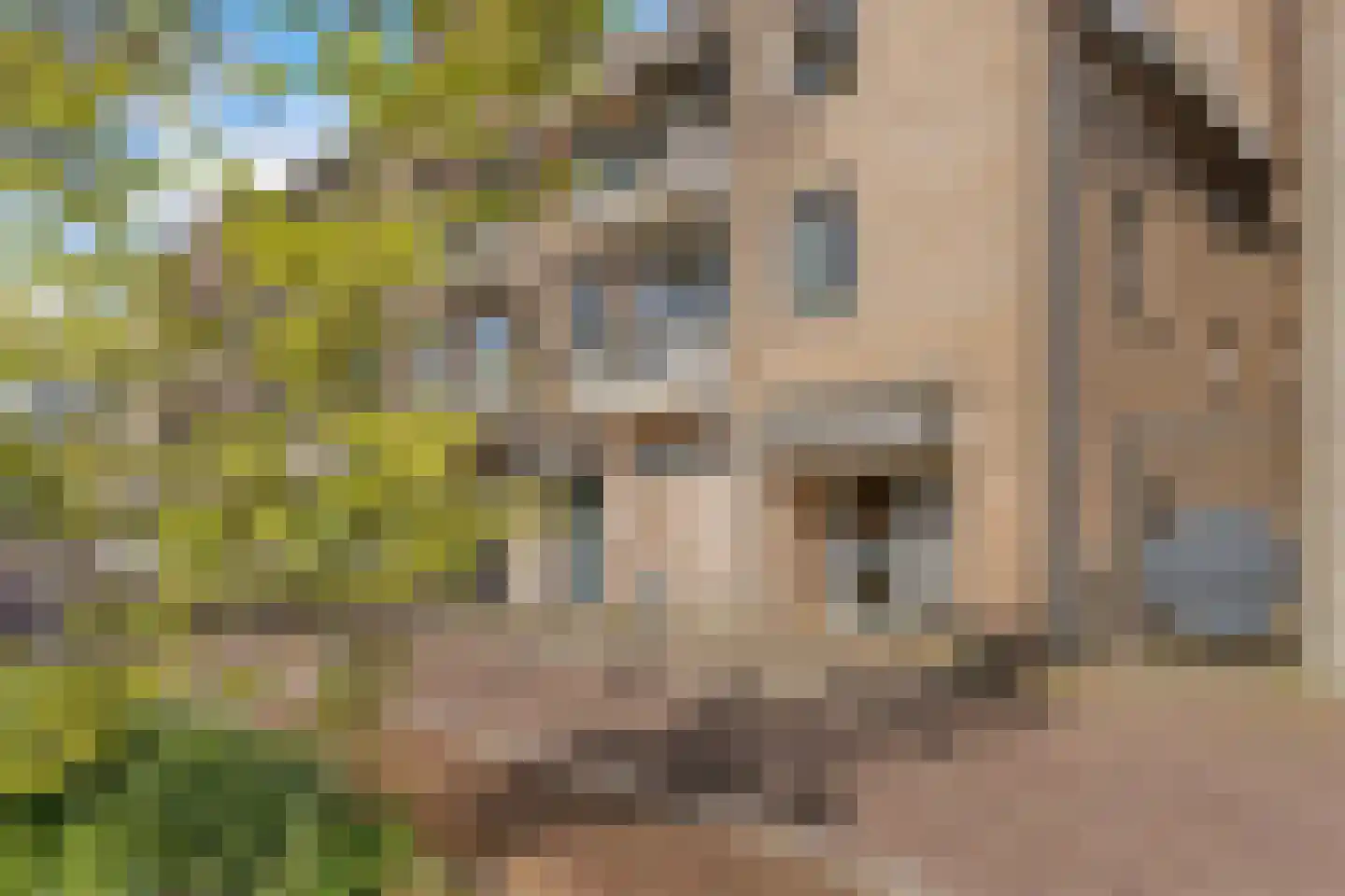 Sir Winston Churchillweg 25 Voorschoten thumbnail 4