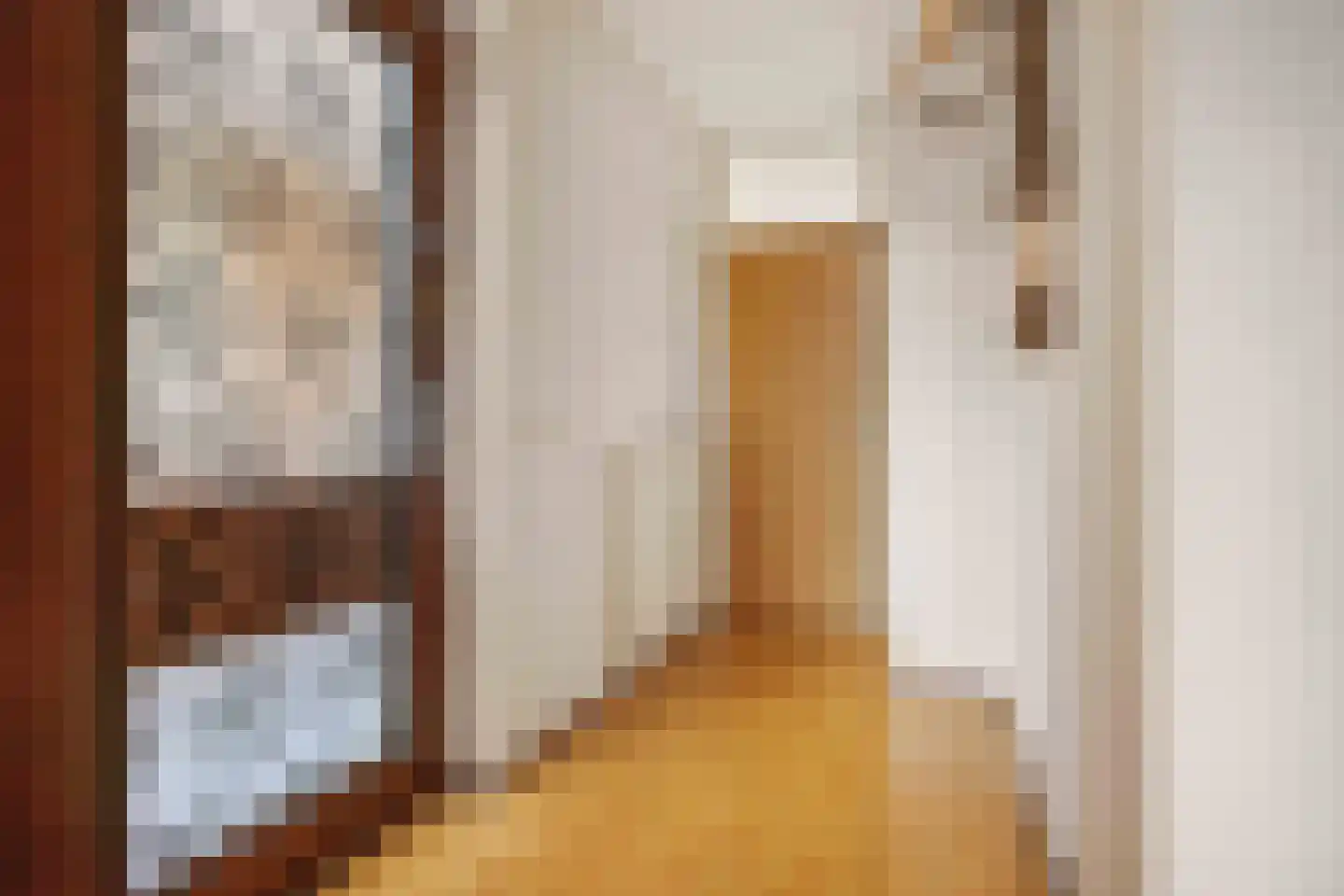 Sir Winston Churchillweg 25 Voorschoten thumbnail 6