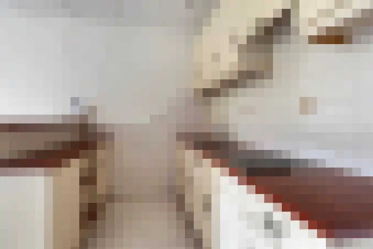 Sir Winston Churchillweg 29 Voorschoten thumbnail 11