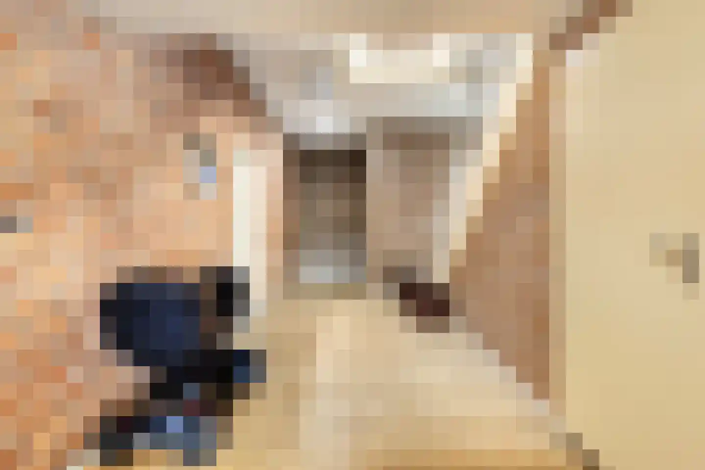 Sir Winston Churchillweg 29 Voorschoten thumbnail 4