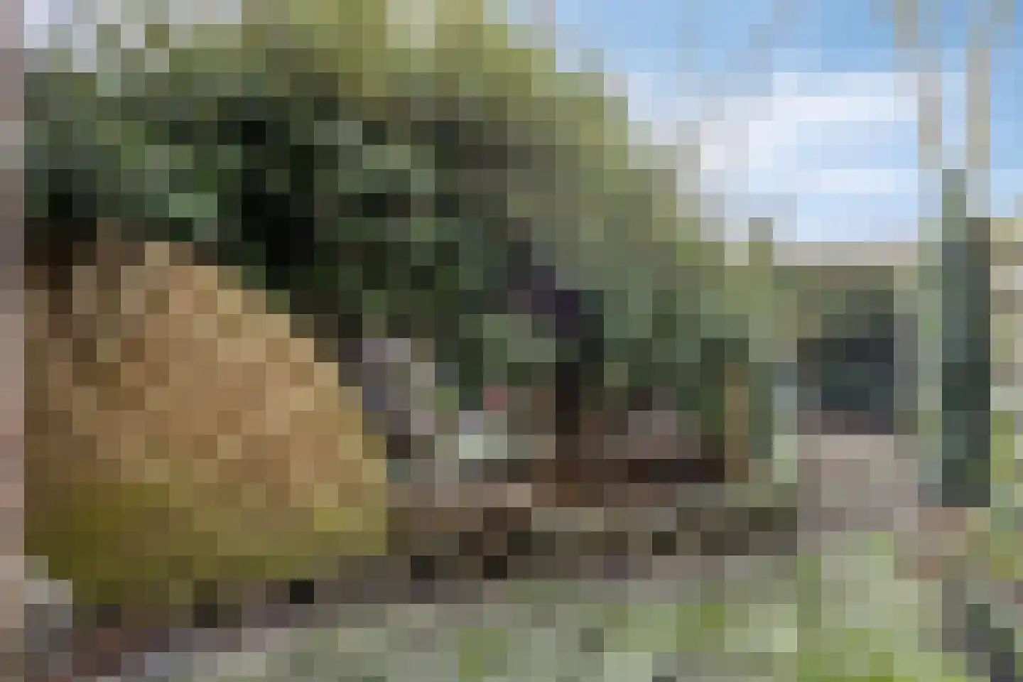 Sir Winston Churchillweg 3 Voorschoten thumbnail 17