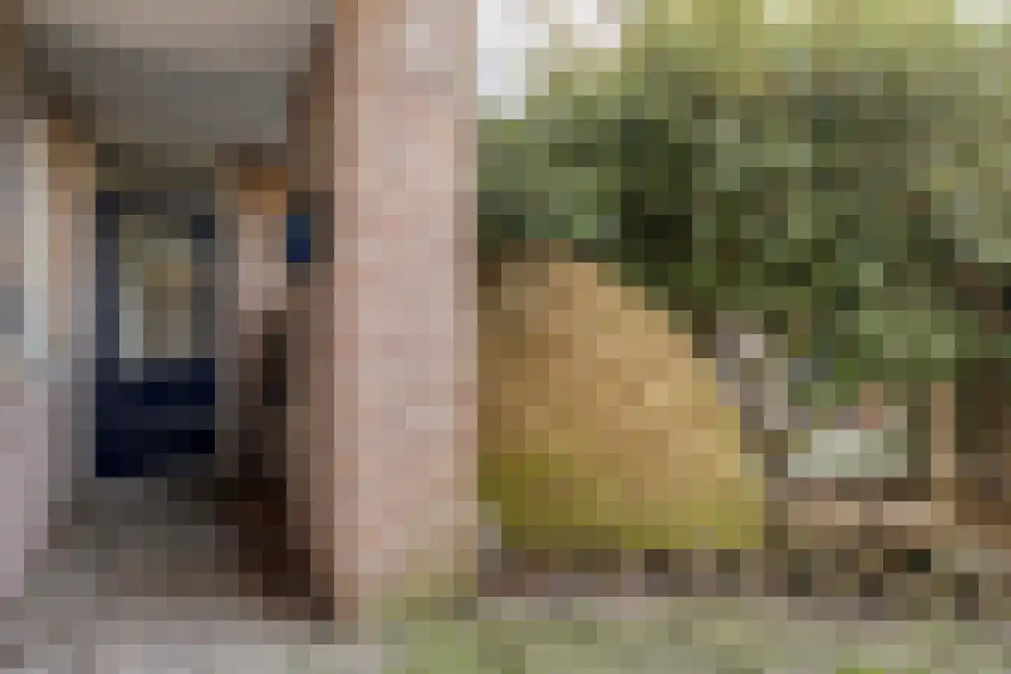 Sir Winston Churchillweg 3 Voorschoten thumbnail 19