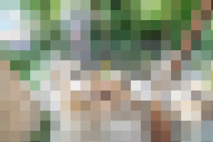 Sir Winston Churchillweg 37 Voorschoten thumbnail 16