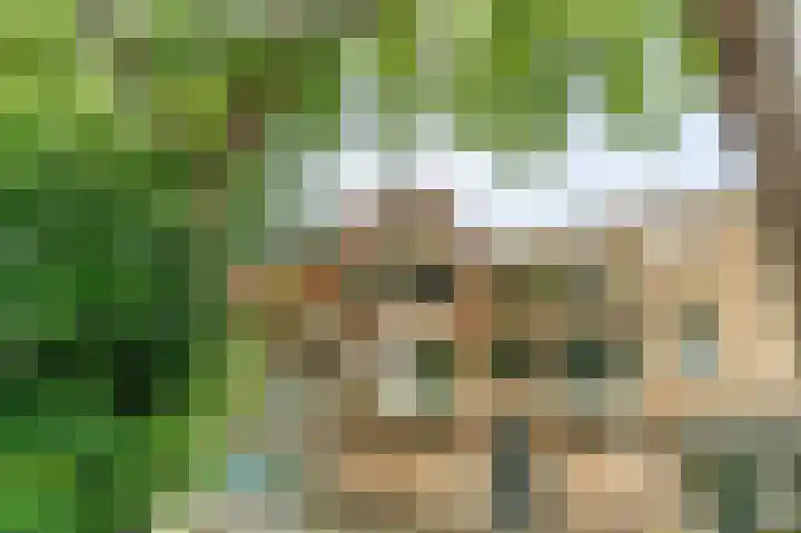 Sir Winston Churchillweg 37 Voorschoten thumbnail 4