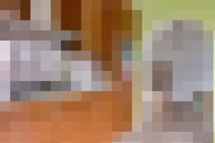 Sirius 12 Veldhoven thumbnail 15