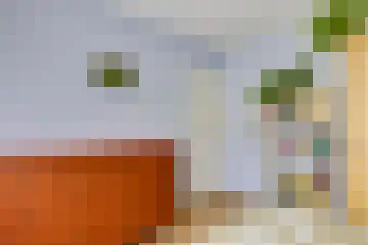 Sirius 12 Veldhoven thumbnail 20