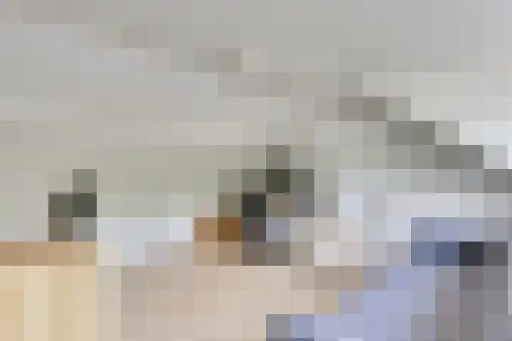 Sirius 12 Veldhoven thumbnail 28