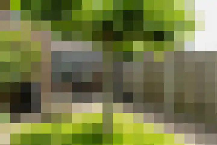 Sirius 12 Veldhoven thumbnail 33