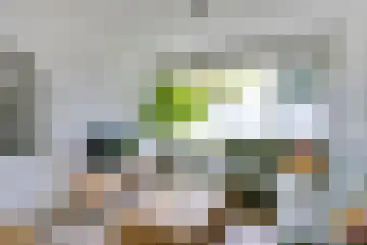 Sirius 12 Veldhoven thumbnail 7
