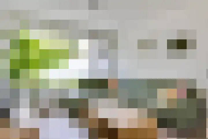 Sirius 12 Veldhoven thumbnail 8