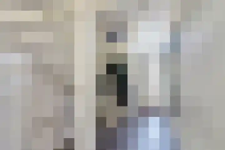 Sirius 13 Hoogeveen thumbnail 13