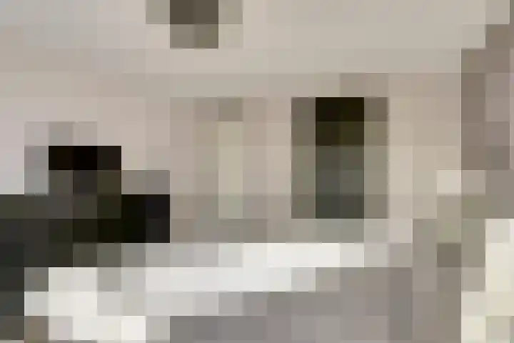 Sirius 13 Hoogeveen thumbnail 15