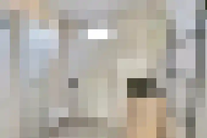 Sirius 13 Hoogeveen thumbnail 21