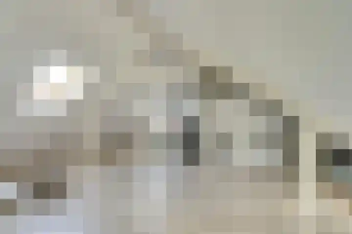 Sirius 13 Hoogeveen thumbnail 24