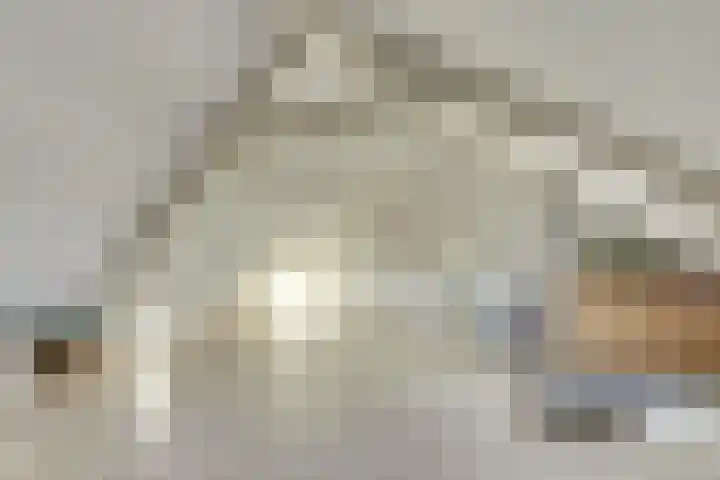 Sirius 13 Hoogeveen thumbnail 25