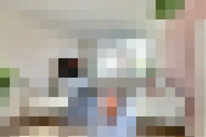 Sirius 13 Hoogeveen thumbnail 7