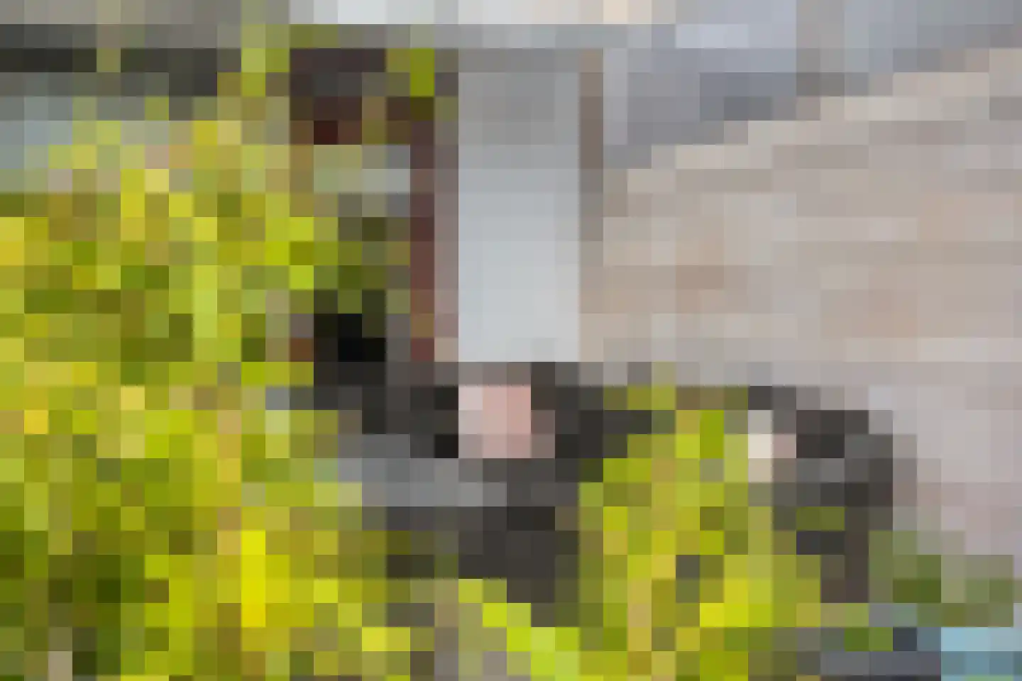 Sirius 17 Hoogezand thumbnail 39
