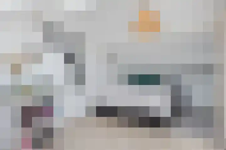 Sirius 20 Oosterhout thumbnail 21