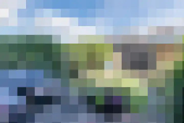 Sirius 20 Oosterhout thumbnail 22