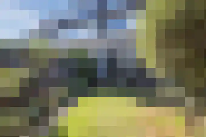 Sirius 20 Oosterhout thumbnail 25