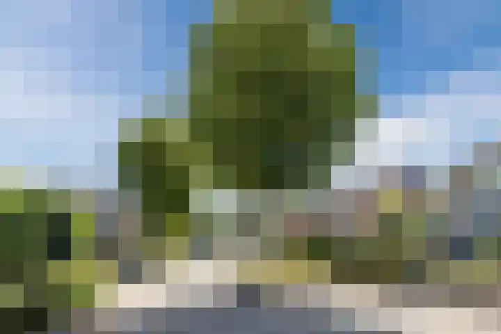 Sirius 20 Oosterhout thumbnail 31