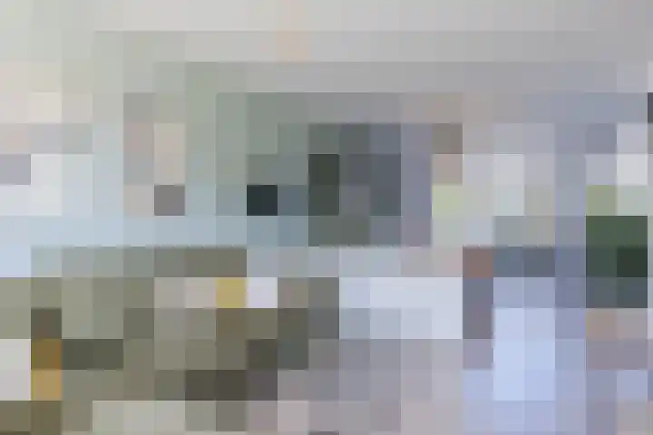 Sirius 20 Oosterhout thumbnail 7