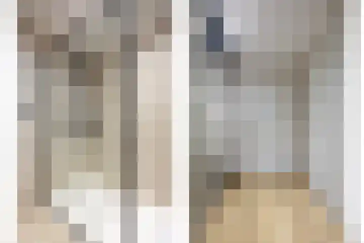 Sirius 26 Oostburg thumbnail 11