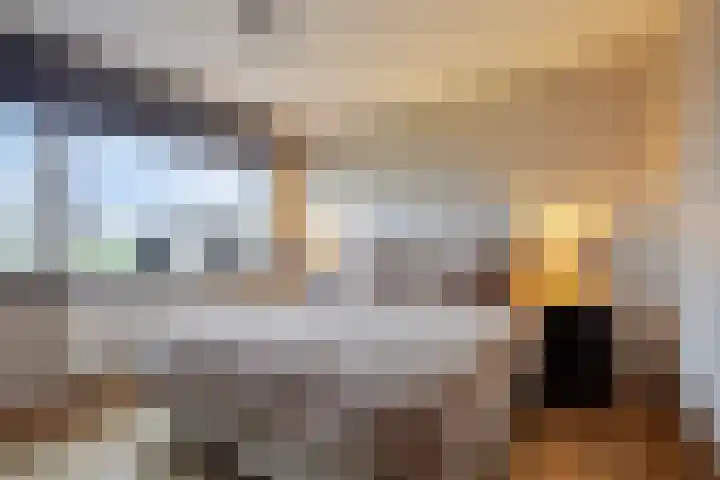 Sirius 26 Oostburg thumbnail 12