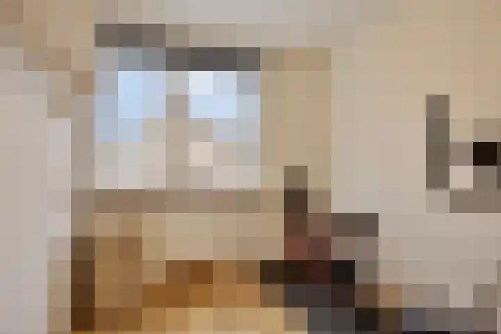 Sirius 26 Oostburg thumbnail 15