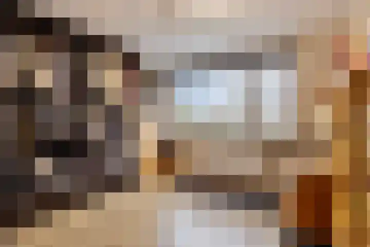 Sirius 26 Oostburg thumbnail 17