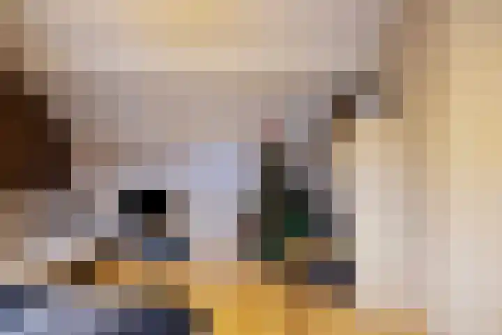 Sirius 26 Oostburg thumbnail 21