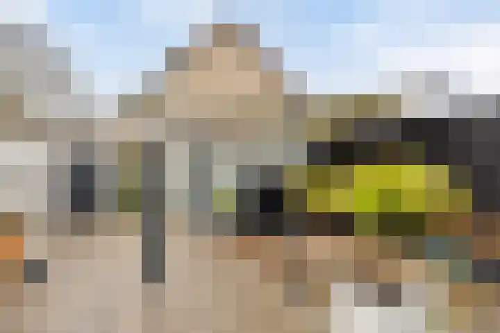 Sirius 26 Oostburg thumbnail 22