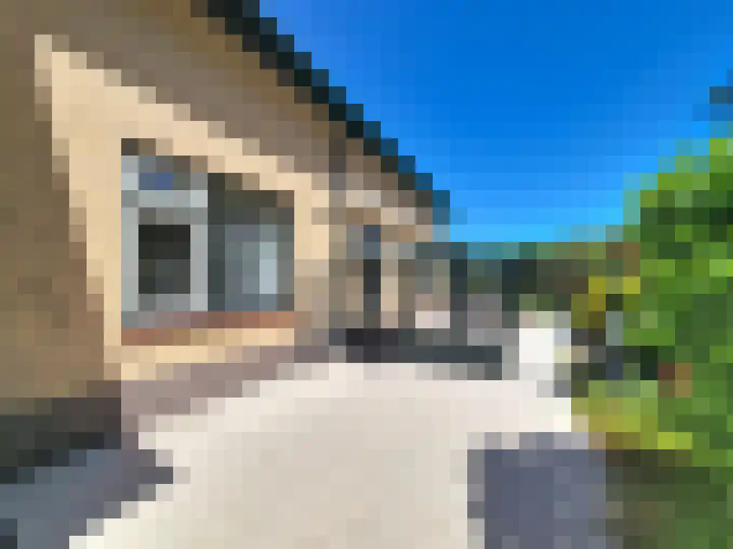 Sirius 3 Oostburg thumbnail 17