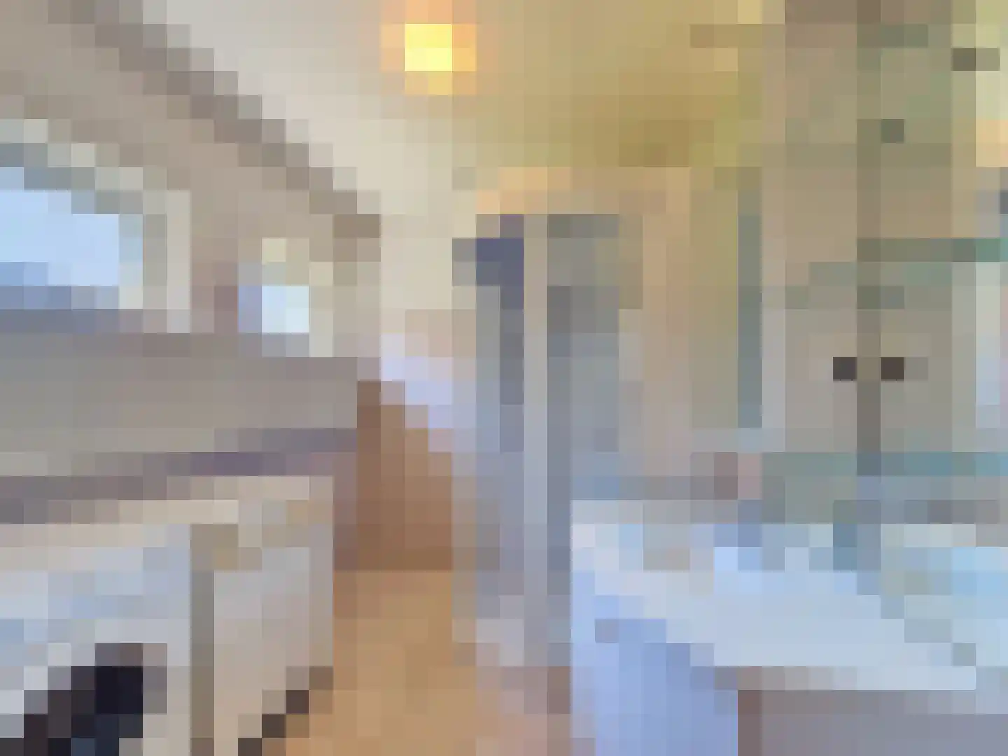 Sirius 3 Oostburg thumbnail 9