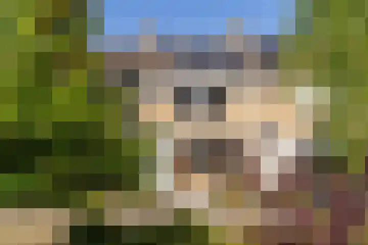 Sirius 3 Puttershoek