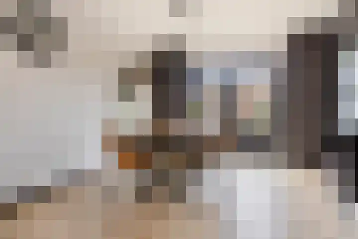 Sirius 39 Hoogeveen thumbnail 11