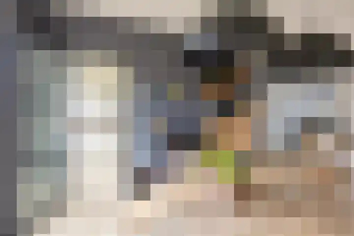 Sirius 39 Hoogeveen thumbnail 12