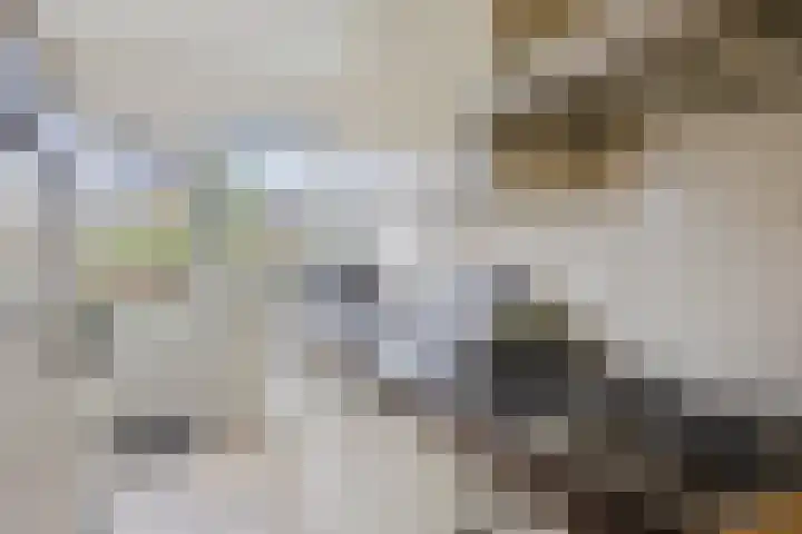 Sirius 39 Hoogeveen thumbnail 13