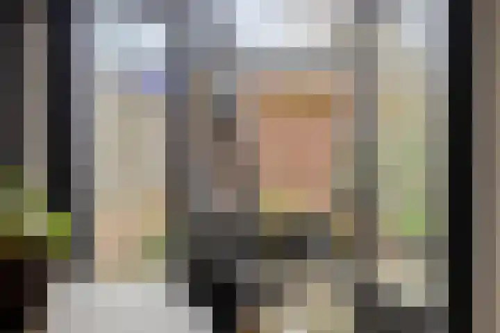 Sirius 39 Hoogeveen thumbnail 16