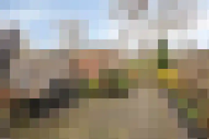 Sirius 39 Hoogeveen thumbnail 28