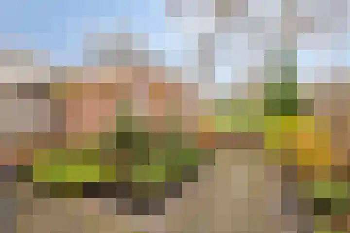 Sirius 39 Hoogeveen thumbnail 29