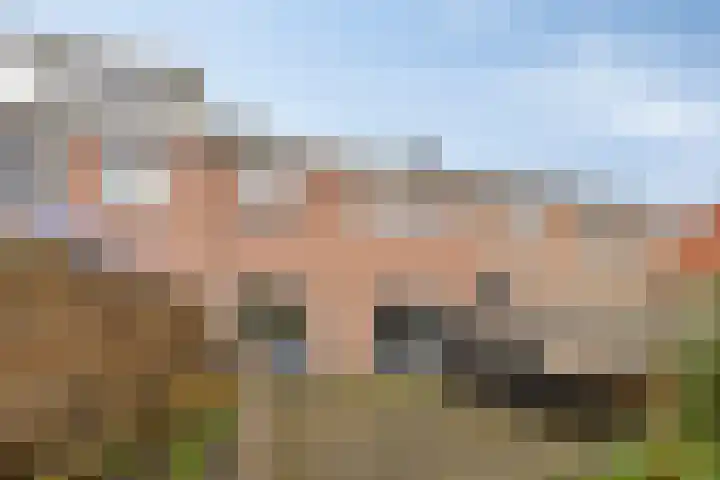 Sirius 39 Hoogeveen thumbnail 30