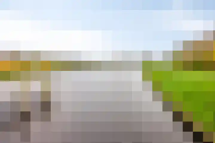 Sirius 39 Hoogeveen thumbnail 33