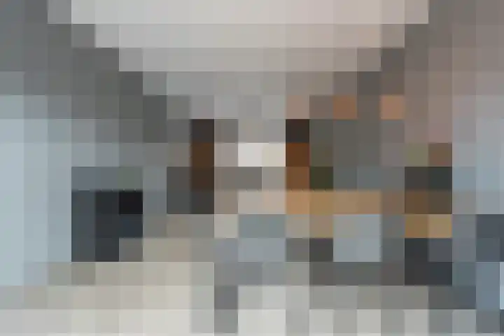 Sirius 4 Hoogeveen thumbnail 12