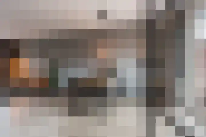 Sirius 4 Hoogeveen thumbnail 14