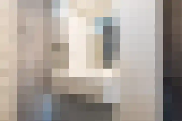 Sirius 4 Hoogeveen thumbnail 31